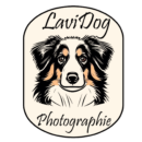 LaviDog Photographie