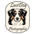Logo Lavidog - retour vers la page d'accueil