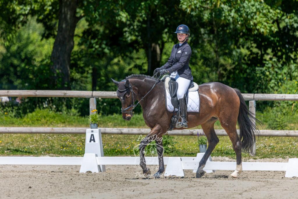 Cavalière et son cheval de profil sur une carrière d'équitation.