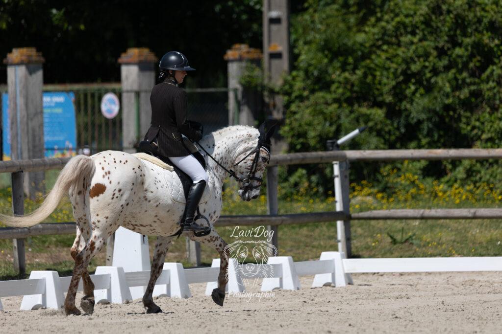 Cavalière et son cheval vus de dos près d'une lisse de carrière.