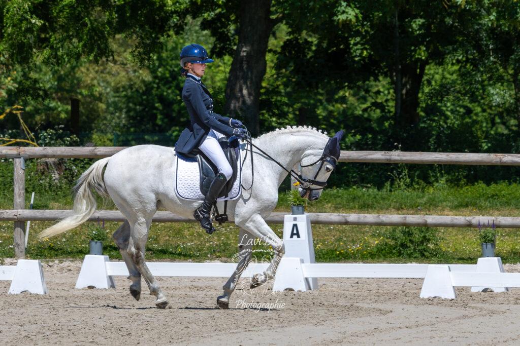 Cheval gris ou blanc au trot lors d'une séance d'équitation.