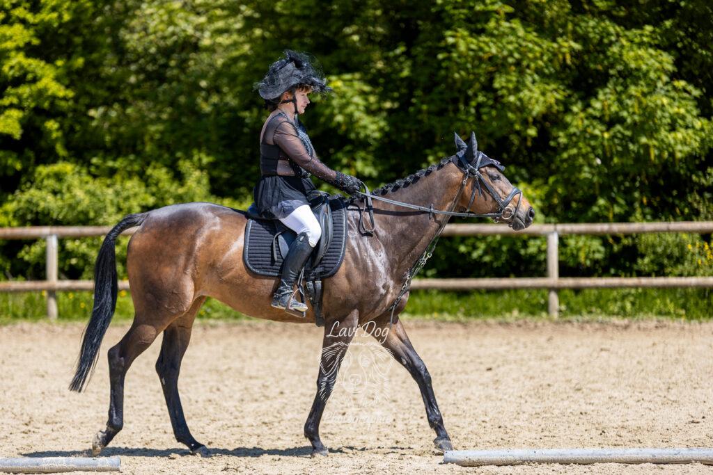 Cavalière en selle de profil sur son cheval en extérieur.