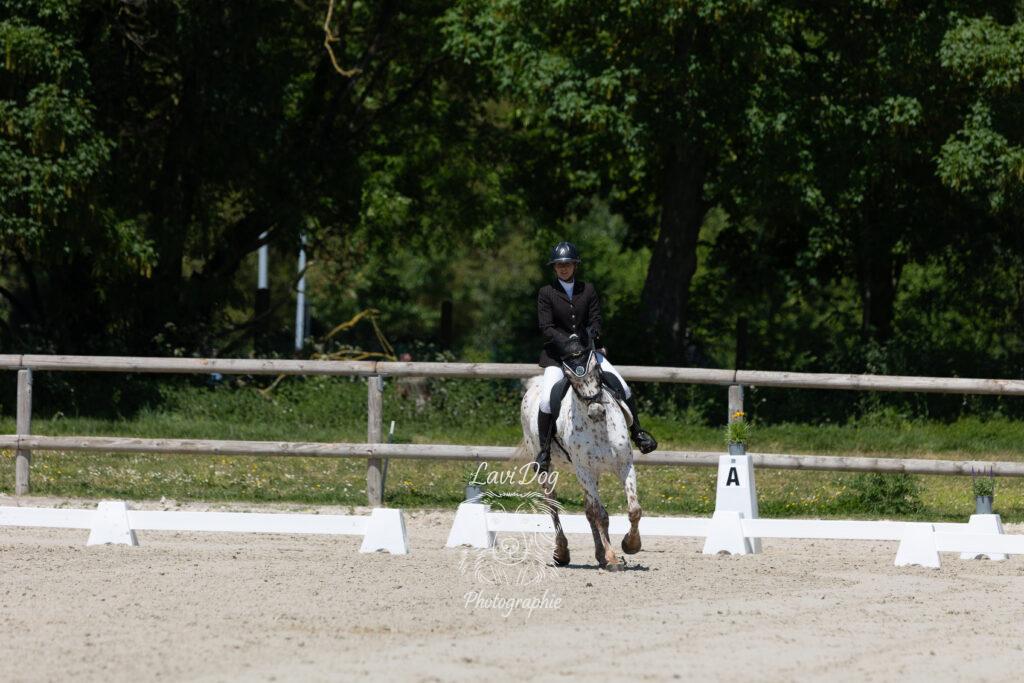 Cavalière et son cheval s'avançant de face sur un terrain d'entraînement.