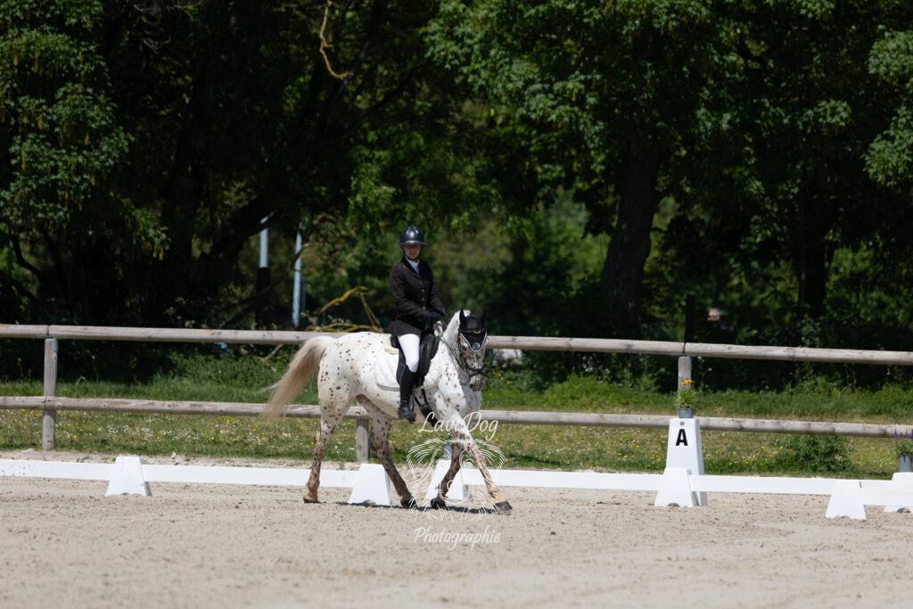 Vue d'ensemble d'un couple cavalière et cheval de profil sur la piste.