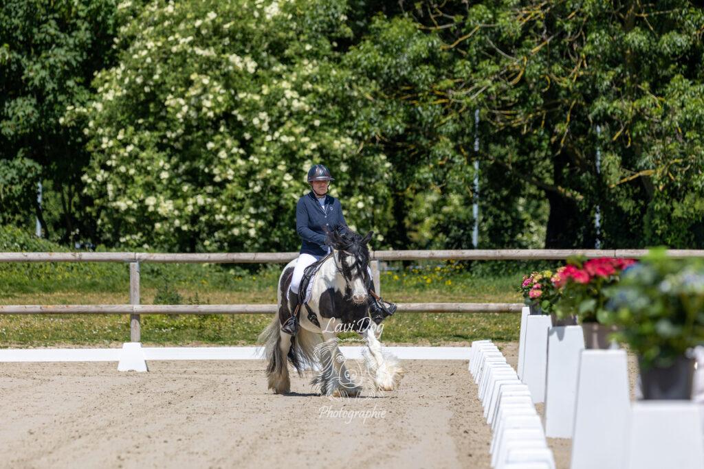 Cheval monté évoluant près de massifs fleuris.