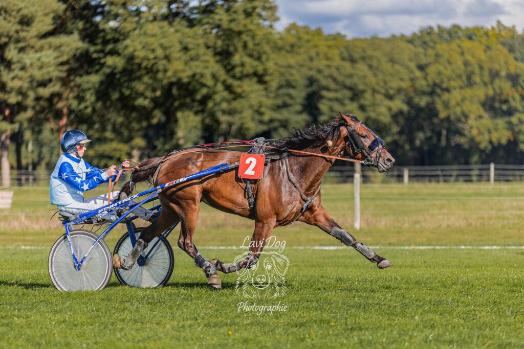 Trotteur attelé à son sulky filant à pleine vitesse.