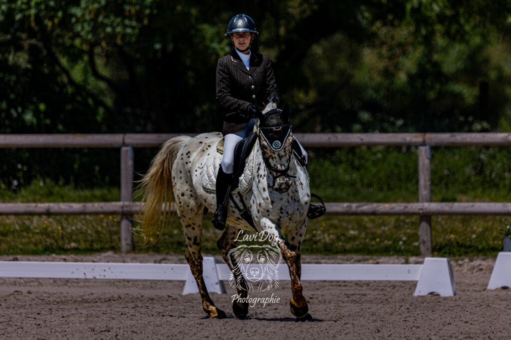 Cavalière amorçant un virage à cheval sur une carrière.
