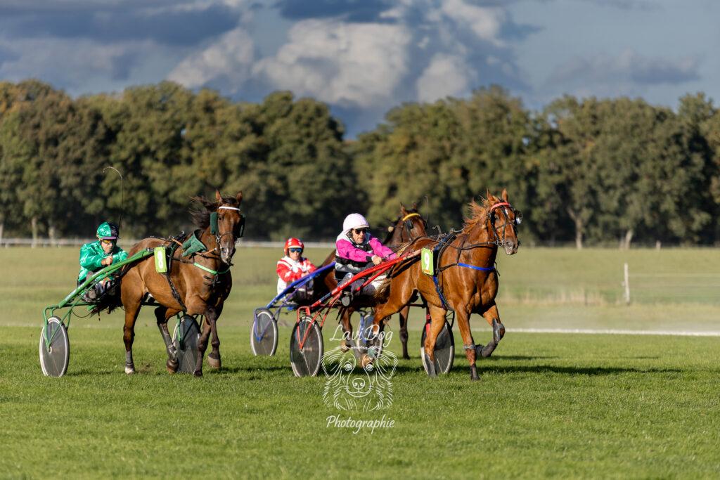 Course de trot attelé avec driver et sulky sur hippodrome.