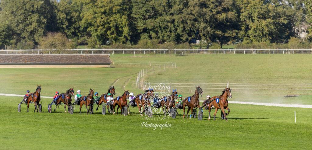 Plusieurs sulkies et trotteurs en pleine course hippique.