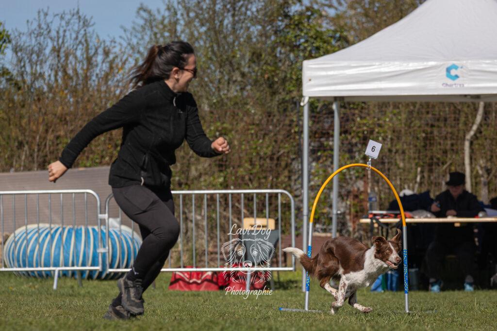 Femme guidant son chien en pleine course sur un parcours d'agility.
