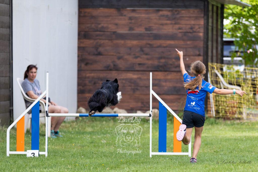Conductrice et son chien vus de dos sur un parcours d'agility.