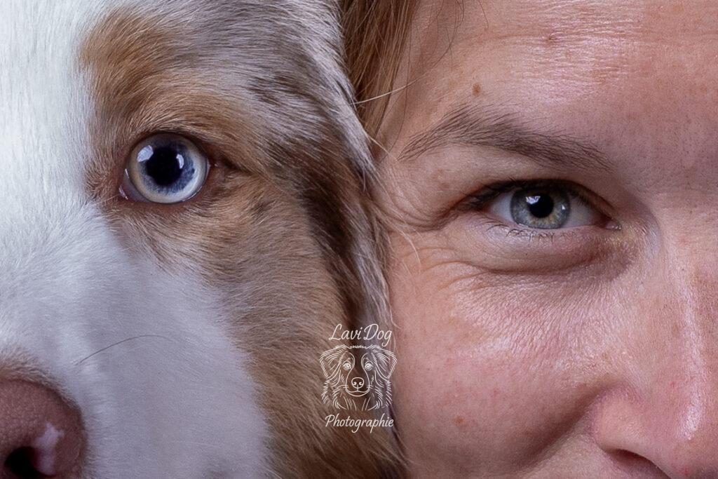Regard croisé complice entre un chien Berger Australien et sa propriétaire.